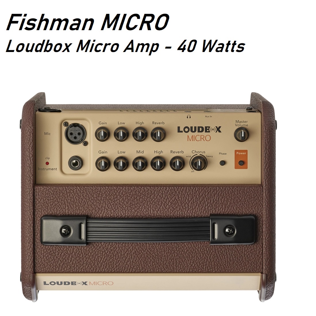 FISHMAN MICROpng