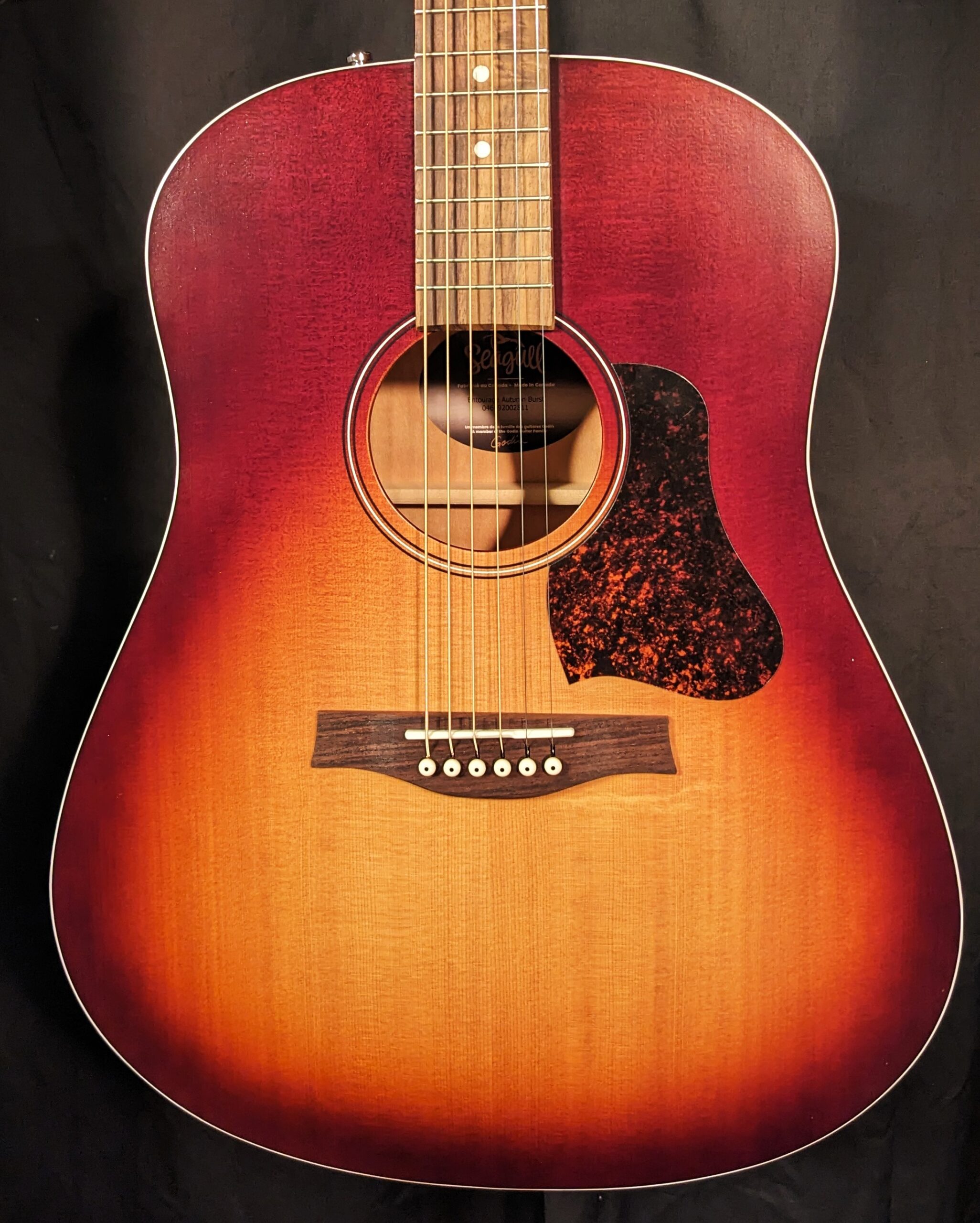 PXL_20250430_175912966