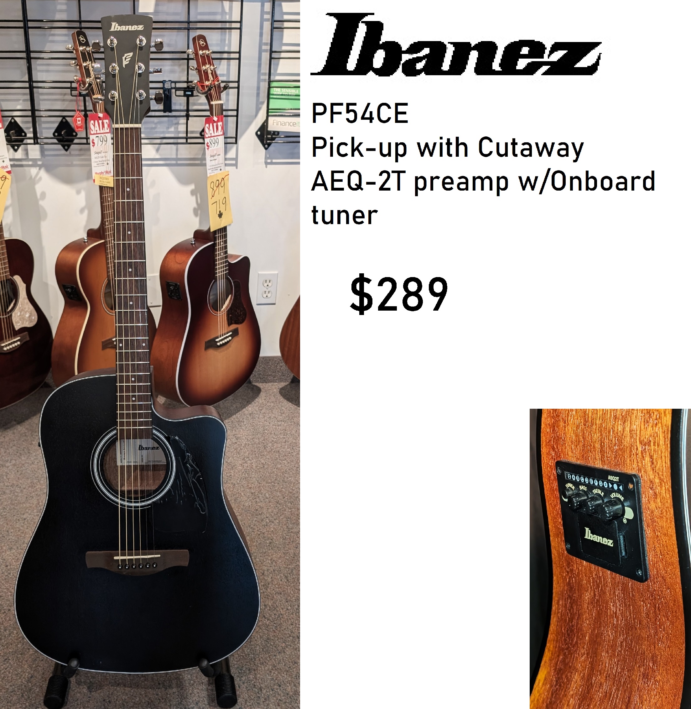 ibanez pf54 blk