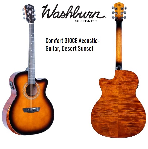 washburn WCG10CE